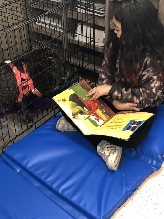 Read to Pig